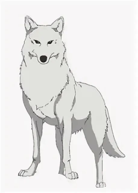 Киба белый волк фото и чеза Kiba Bleached Wolf's Rain Wiki Fandom