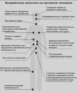 Что происходит с организмом после употребления