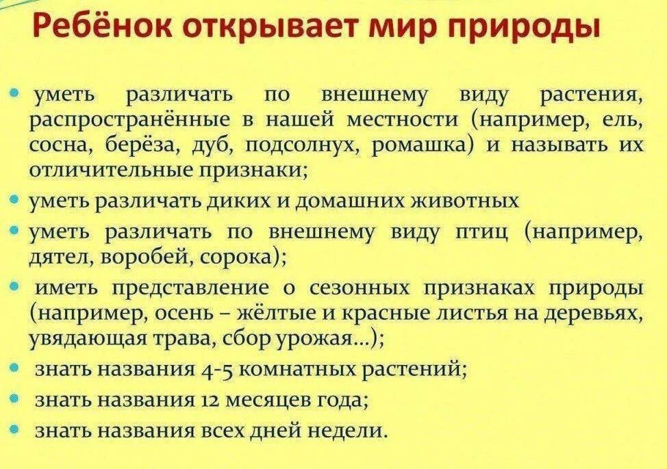 Что должен уметь перед школой. Что должен уметь ребёнок в 7 лет. Что должен знать ребенок в 6 лет. Что должен знать ребенок в 7 лет. Что должен уметь ребёнок в 6 лет.