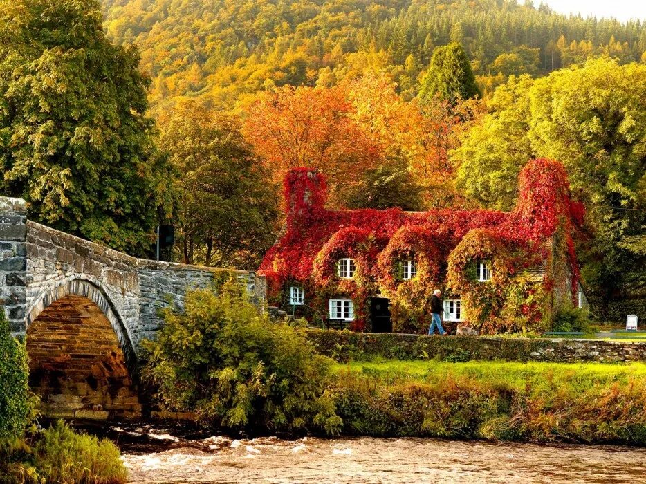 Осенью очень красиво. Уиндермир Англия осень. Йоркшир Англия осень. Дом плющ Уэльс. Осень в Шопфхайме Германия.
