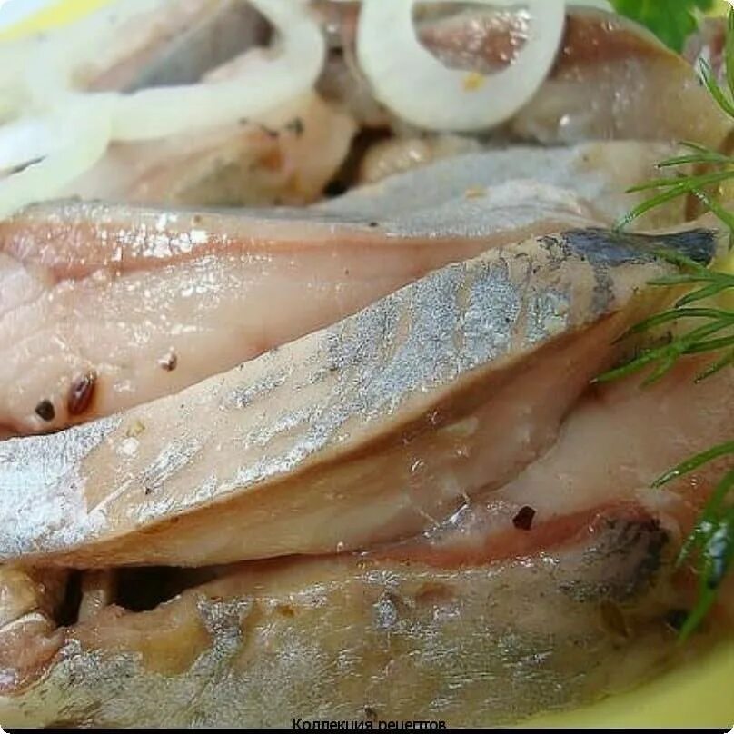 Как вкусно посолить сельдь целиком. Как вкусно посолить сельдь целиком