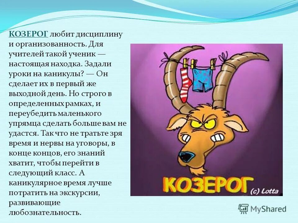 Козерог. Знаки зодиака. Козерог. Козерог характеристика. Козерог знак зодиака характеристика.