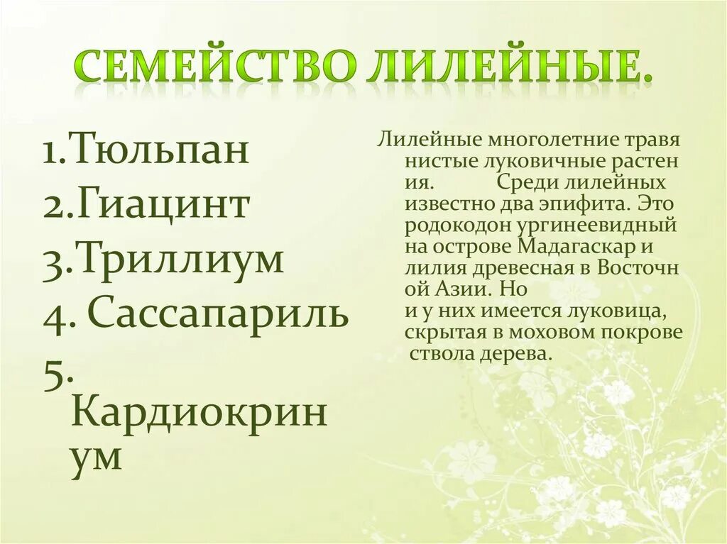 Семейство злаковые и лилейные. Характеристика семейства Лилейные. Семейство Лилейные строение. Семейство Лилейные значение.