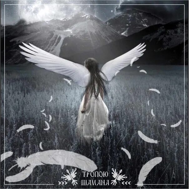 песня моя россия. девушка - ангел. на крыльях песни. песня про крыла. наутилус помпилиус крылья ноты для пианино.