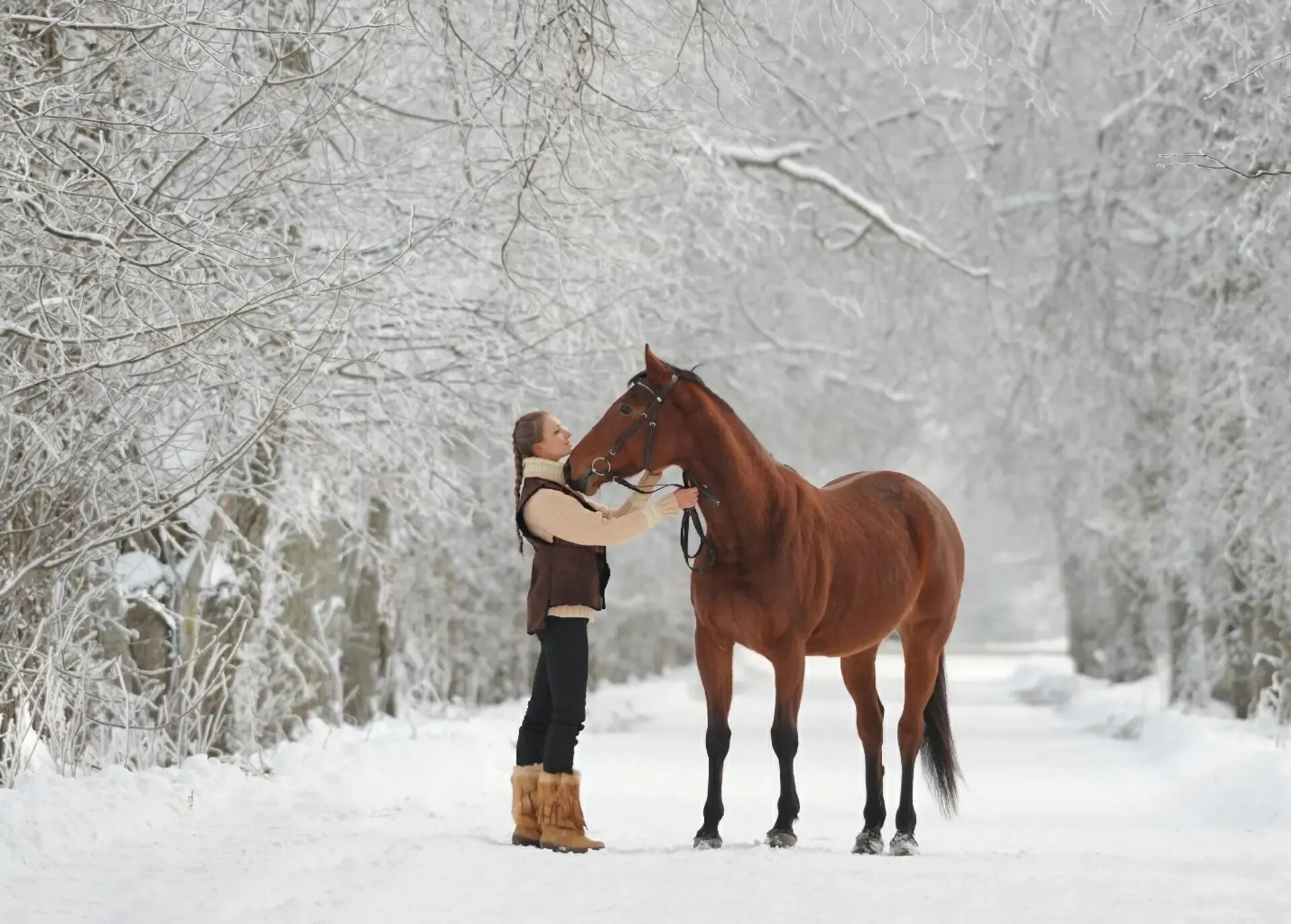 Лошади зимой. Зимняя фотосессия с лошадью. Девушка на лошади зимой. Фотосессия с лошадью зимой.