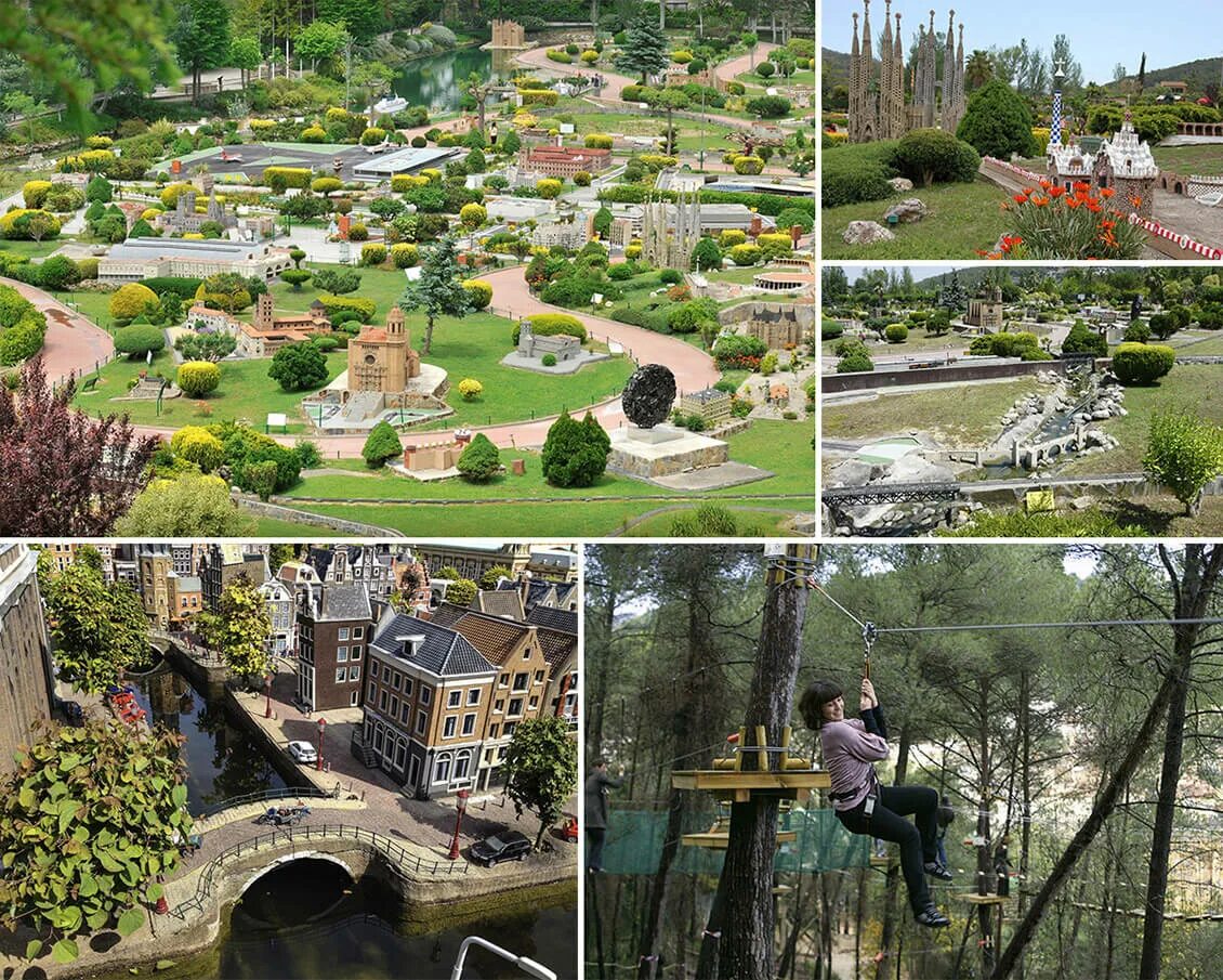 Эко парк в испании. Птица в траве. Биоразнообразие парка. Биоразнообразие парка. Ботанический сад белгу белгород.