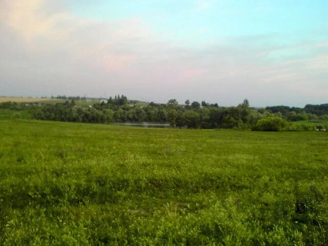 Волчья александровка белгородская. Волчья александровка волоконовский район. Белгородская область волоконовский район село волчья александровка. Волчья александровка белгородская область. Волчья александровка волоконовский район.