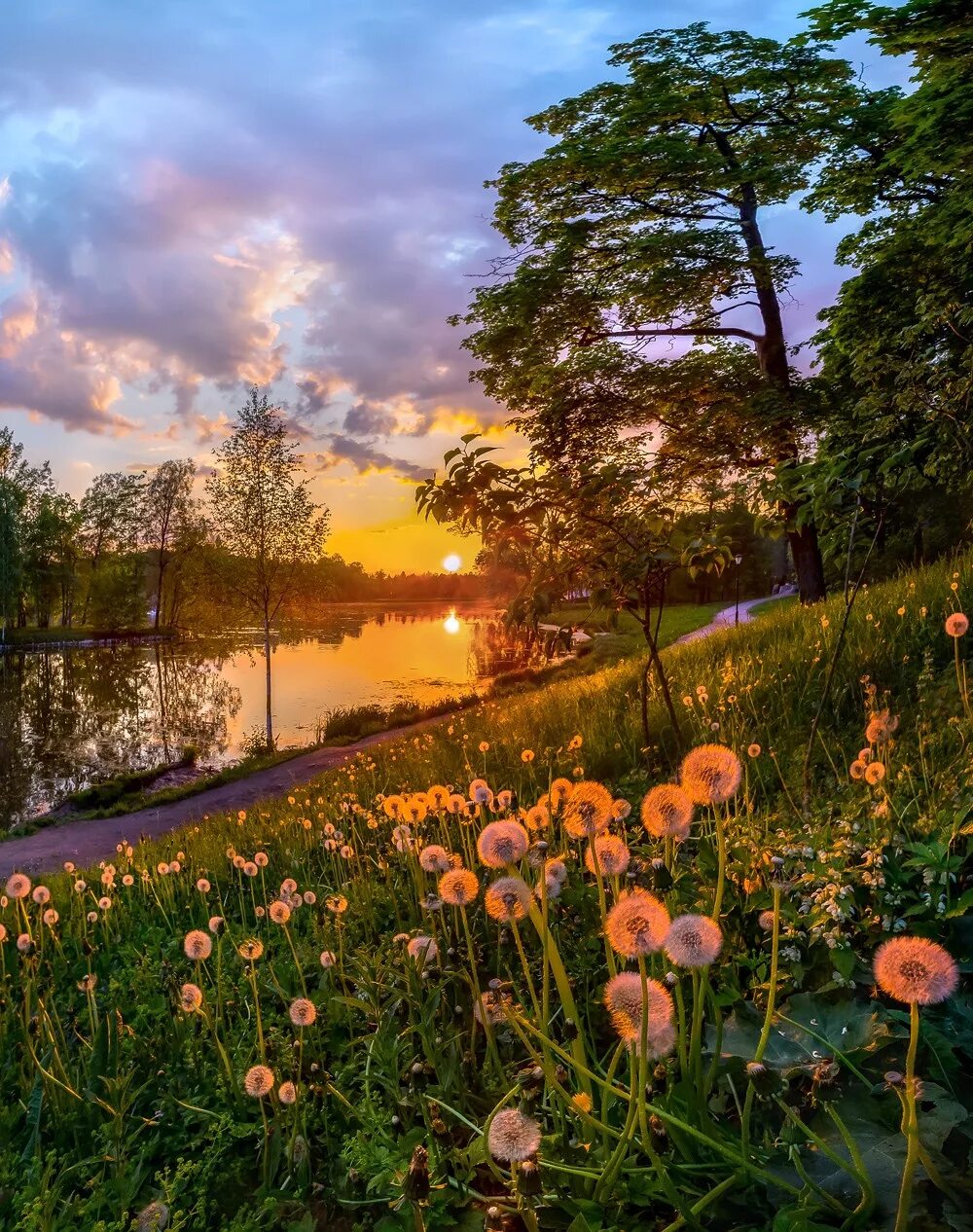 Фёдор Лашков фотограф река. Пейзажи Федора Лашкова. Фотограф: фёдор Лашков ромашки. Федор Лашков пруд.