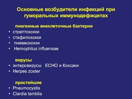 Назовите возбудителя инфекции