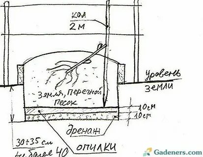 Посадка винограда весной
