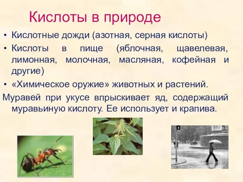 Кислоты в природе. Нахождение кислот в природе. Органические кислоты в природе. Кислоты встречающиеся в природе. Применение кислот в природе