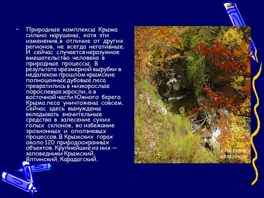 Сообщение о лесном природном сообществе. Леса крыма описание. сообщение леса крыма. природные комплексы крыма. сообщение о крымских лесах.