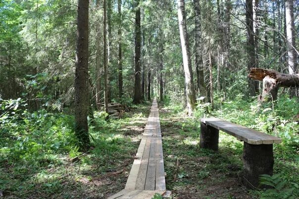 какая погода летом. погода иваново. погода в волгограде сейчас. аптека ру родники ивановская. погода в москве на неделю.