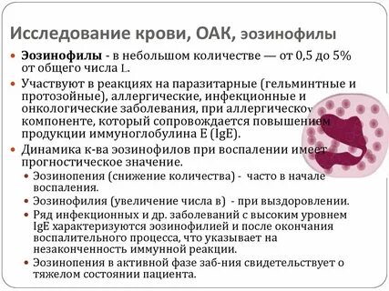 Причины повышения эозинофилы у женщин