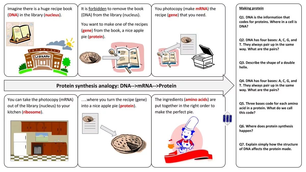 How can this be перевод. Analogy analogy 1972. make an analogy. proteins where we can see.