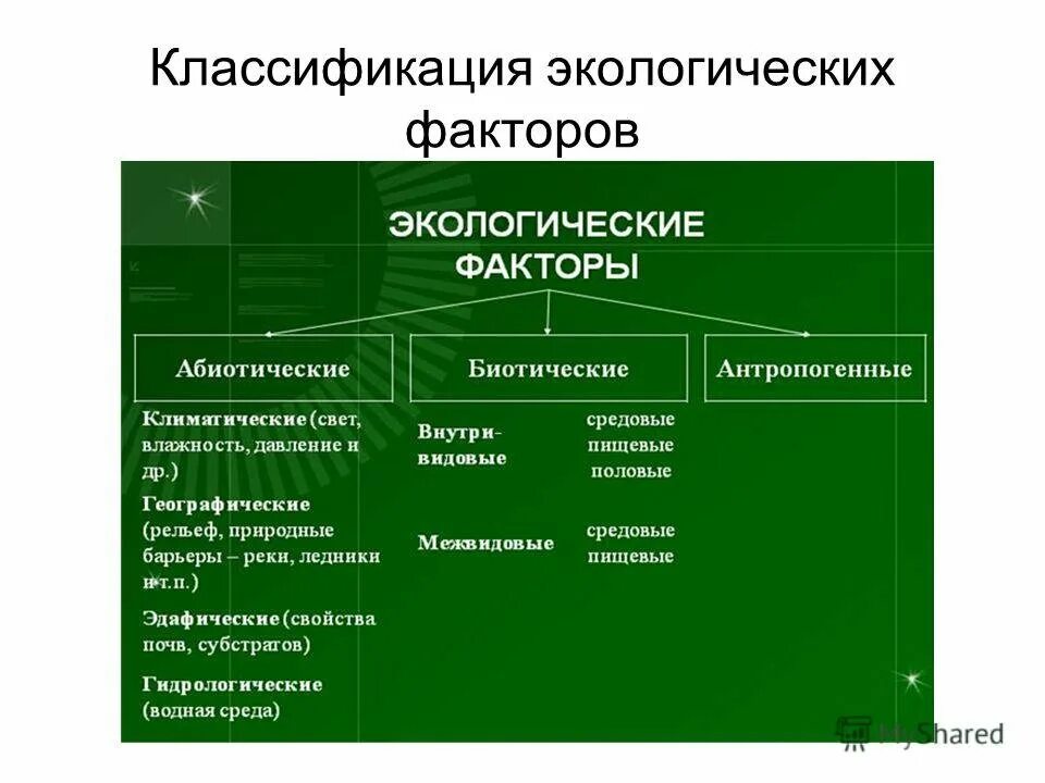 Биология абиотические факторы таблица. Классификация факторов экология. Классификация экологических факторов. Экологические факторы и их классификация. Экологические факторы.