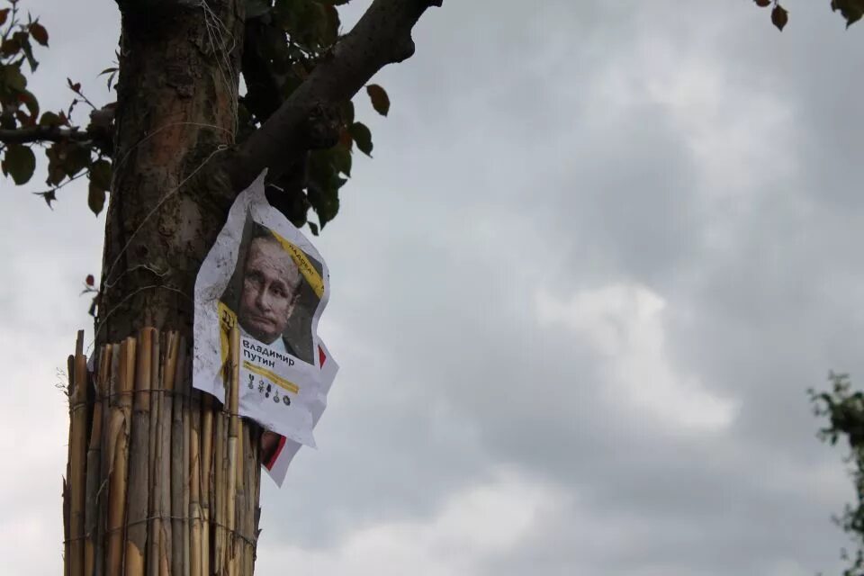 Повесить на дереве. Дерево с повешенными. Семью повесили на дереве.