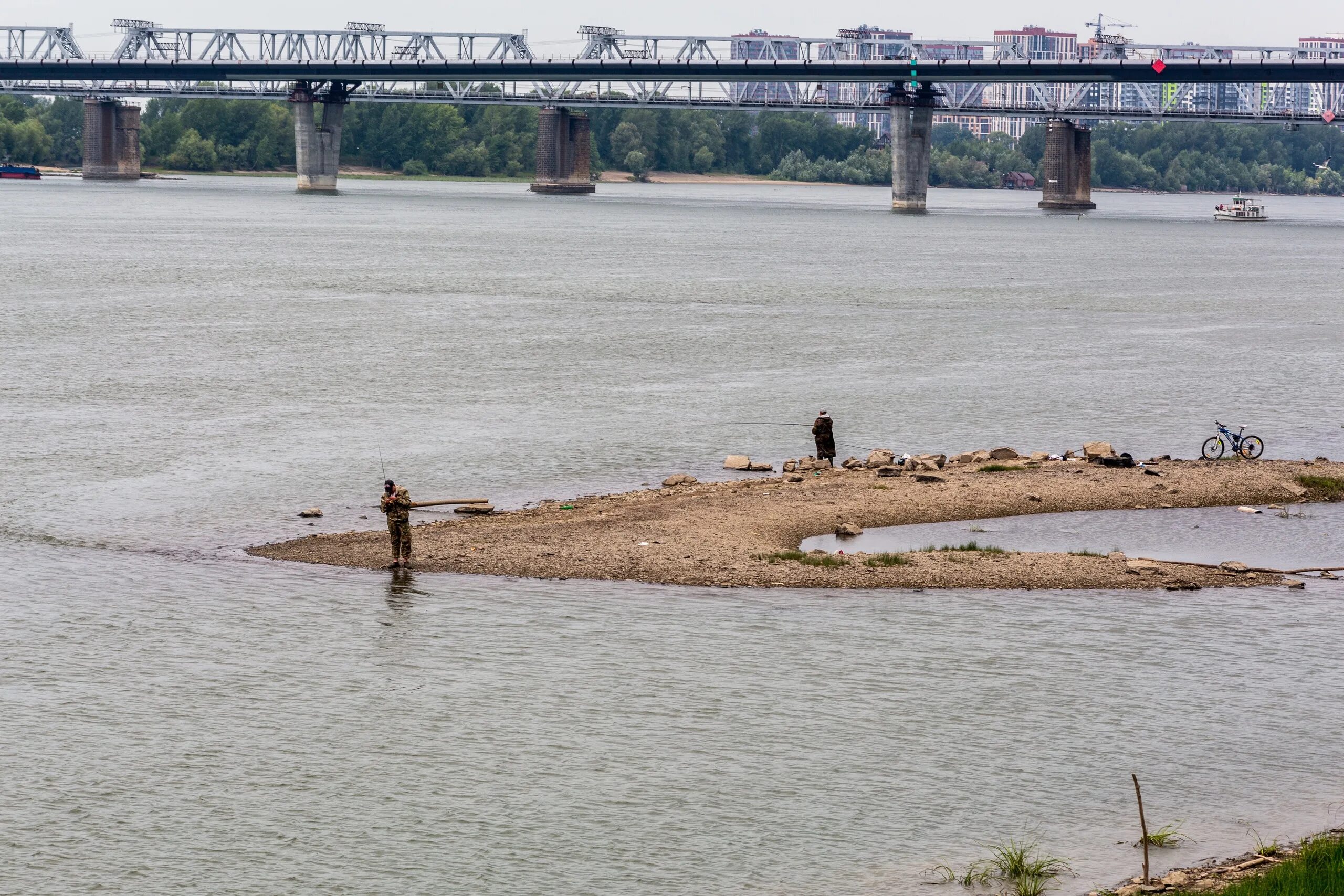 Вода в реке обь новосибирск. Обь обмелела в Новосибирске. Старый Бердск Обь обмелела. Загрязнение Обь Новосибирск. Мост Обь Новосибирск.