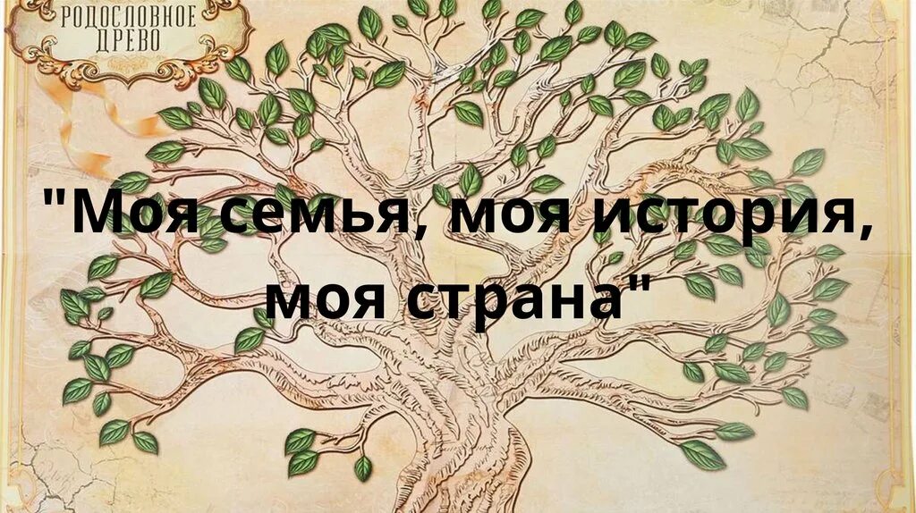 Великие семьи в истории россии. История моей семьи. Моя семья в истории моей страны. История семьи в истории страны. История моей страны.