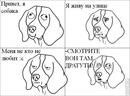 Мем где собака
