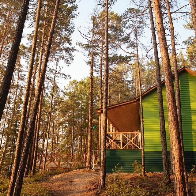 база шинок солонешенский район. турбаза эмчи максимиха. база отдыха олимп томск. турбаза витязь горный. база отдыха солнечная бетково.