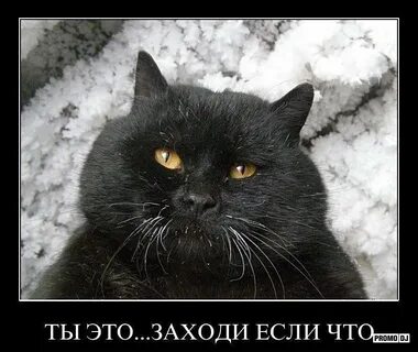 Я тебе сказал не трогай меня