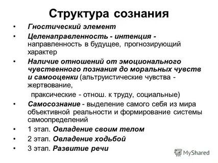 Основная интенция