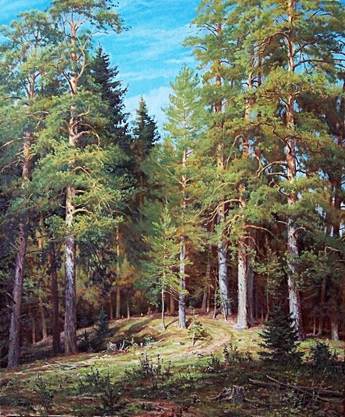 Лесов художник картины. Художник пейзажист Басов Сергей. Художник Сергей Басов родные просторы. Лесные пейзажи Сергея Басова. Басов Сергей Геннадьевич картины.