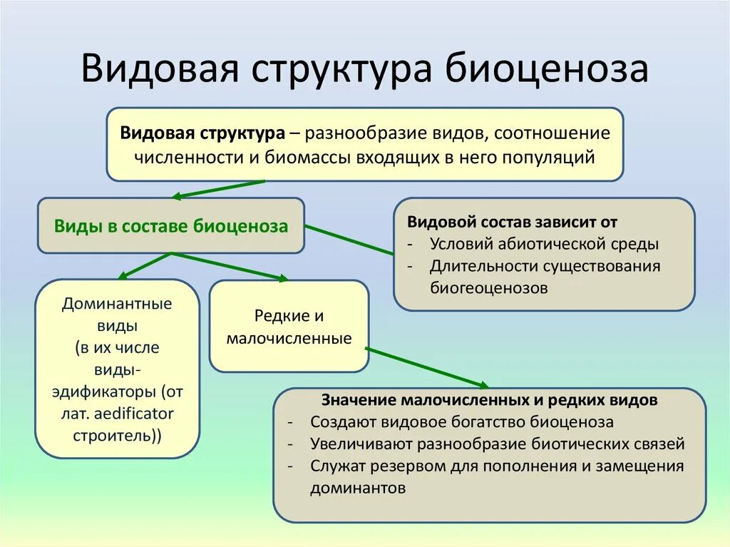 Трофическая структура биоценоза. Видовая структура биоценоза. Видовая структура биогеоценоза. Видовая структура экосистем. Состав и структура сообщества биология 9