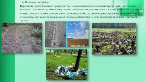 Почвы городских территорий