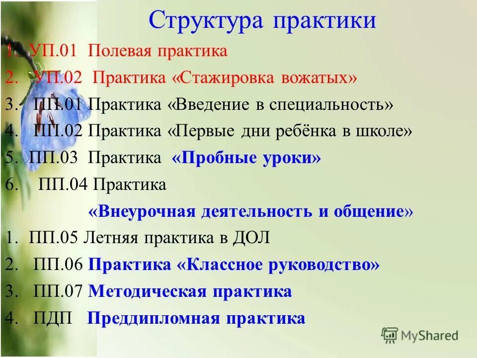 практика введение в специальность