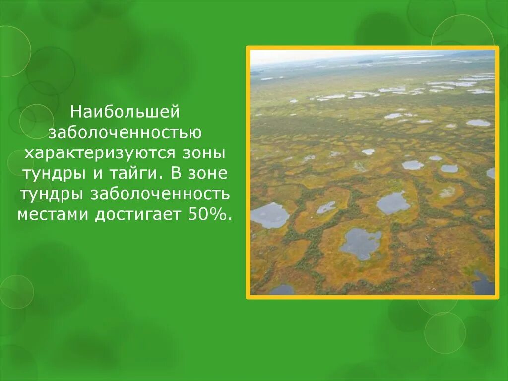 Для зоны тундр россии характерны. Переходные болота. Заболоченность. Зона тундры. Заболоченность тайги.