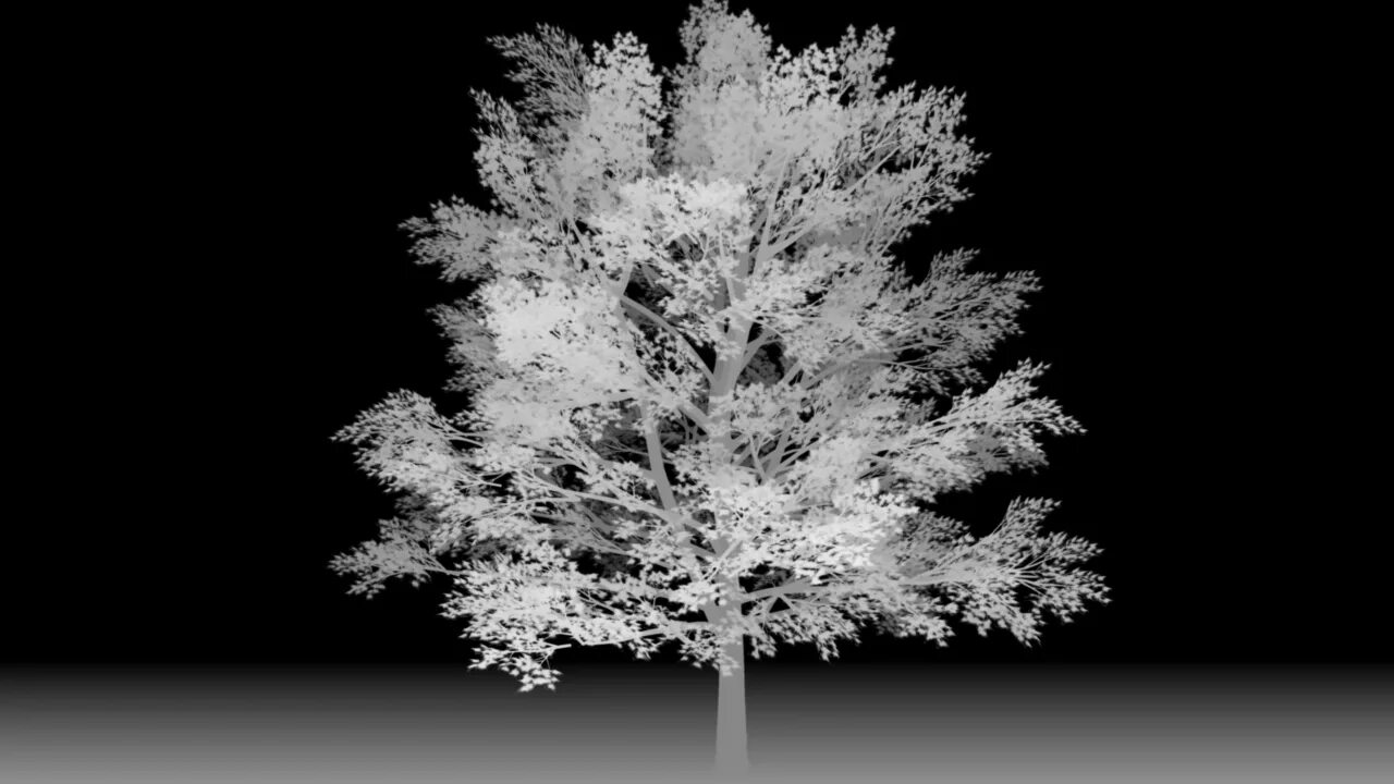 Depth mapping. Z depth. depth pass. depth image. trees z-depth.