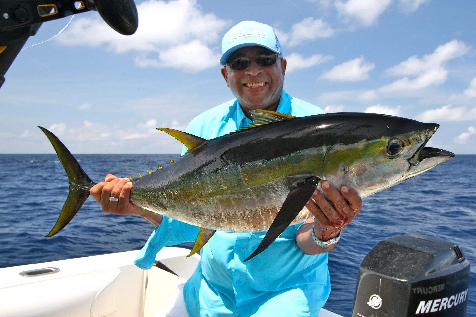 Желтопёрый тунец. Желтоперый Марлин. Марлин Коста Рика. Тунец желтохвостый. Морская рыбалка цены