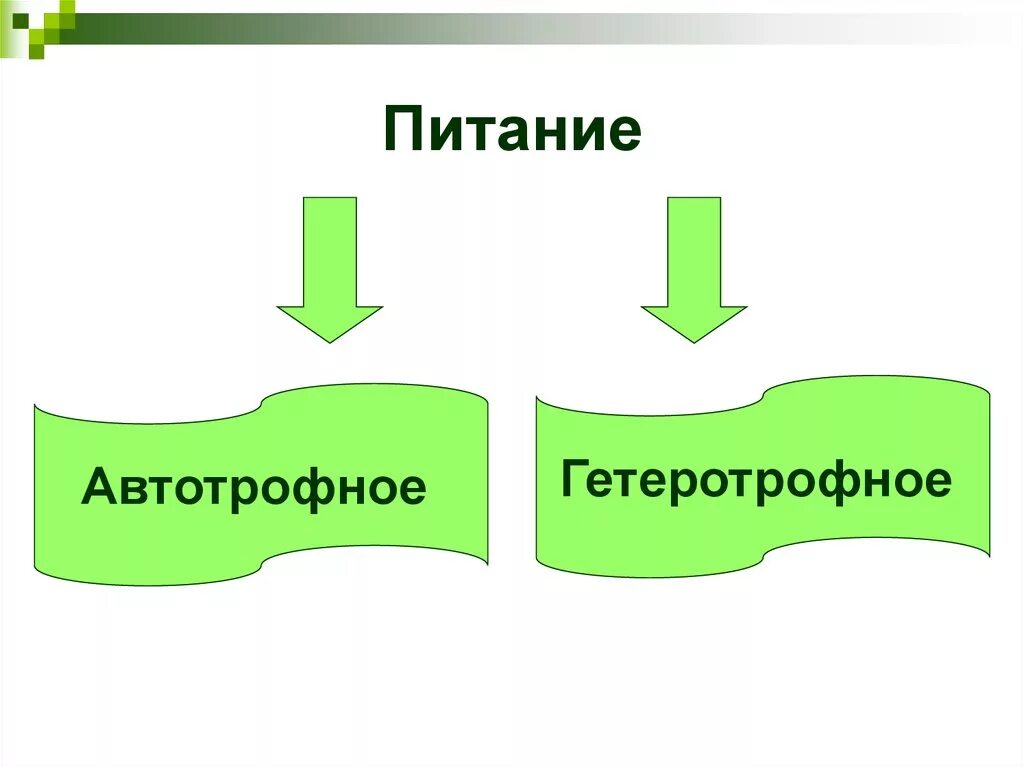 Тип питания автотрофный или гетеротрофный. Автотрофное питание. Гетеротрофное автотрофноп питание. Автотрофный Тип питания и гетеротрофный Тип питания.