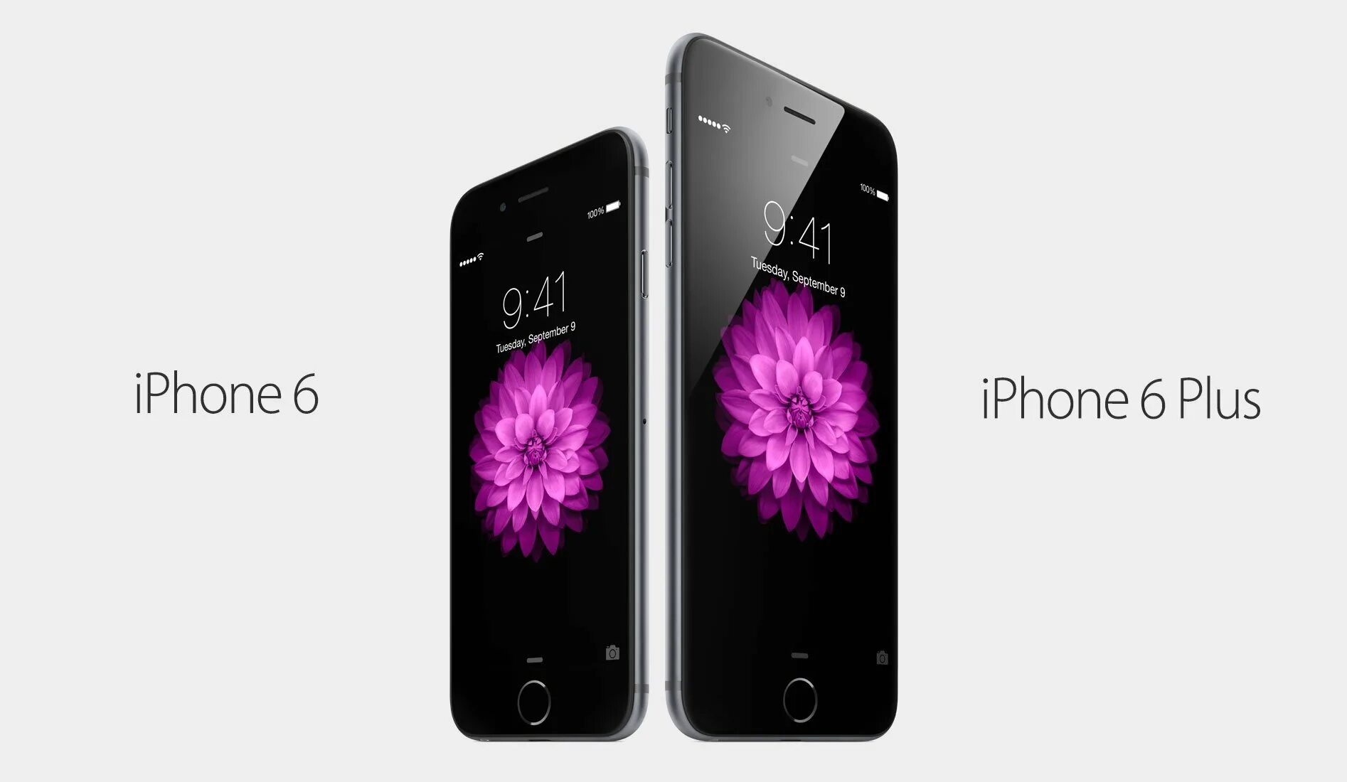 53 плюс 6. Apple iphone 6. Айфон 6 плюс. Iphone 6 iphone 6 Plus. Айфон 6 диагональ.