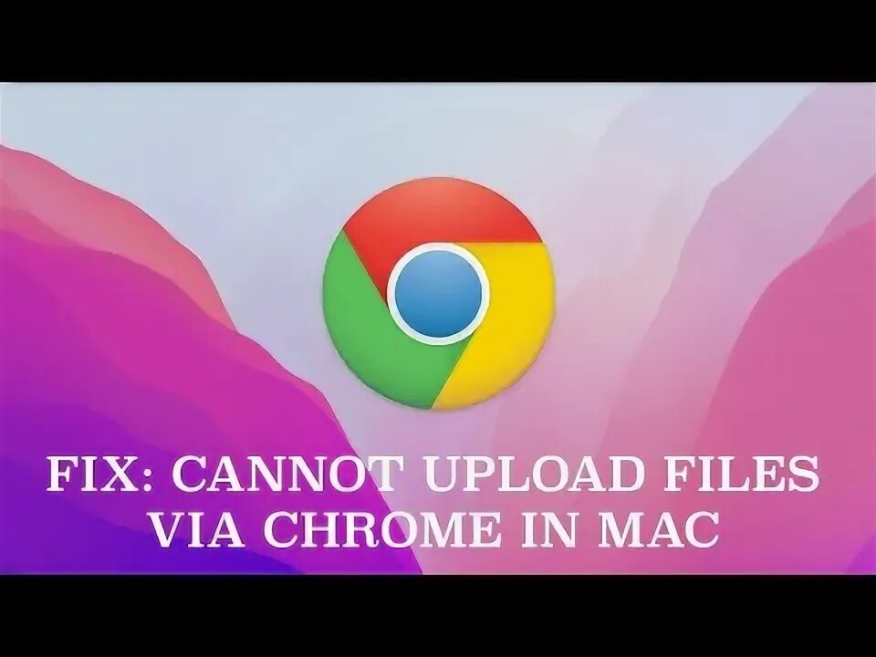 Animation uploading. Maximum upload file size: 2048kb. Cannot upload. Maximum upload file size: 2048kb. React memo example.