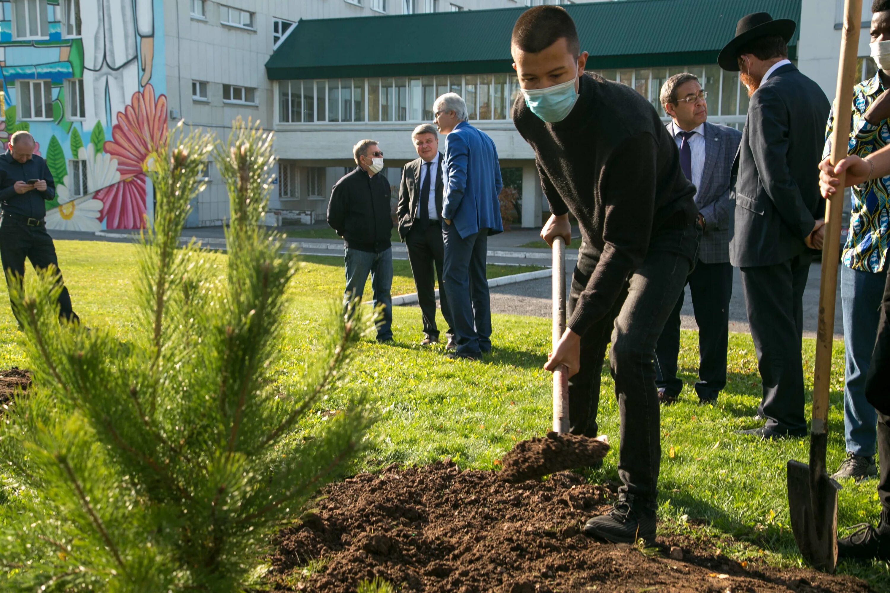 Посади дерево область