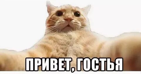 Тут шикарно