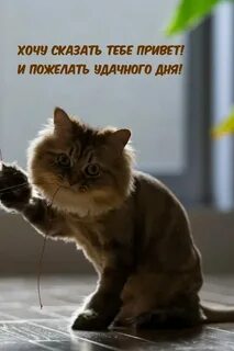Не знаю просто приятно