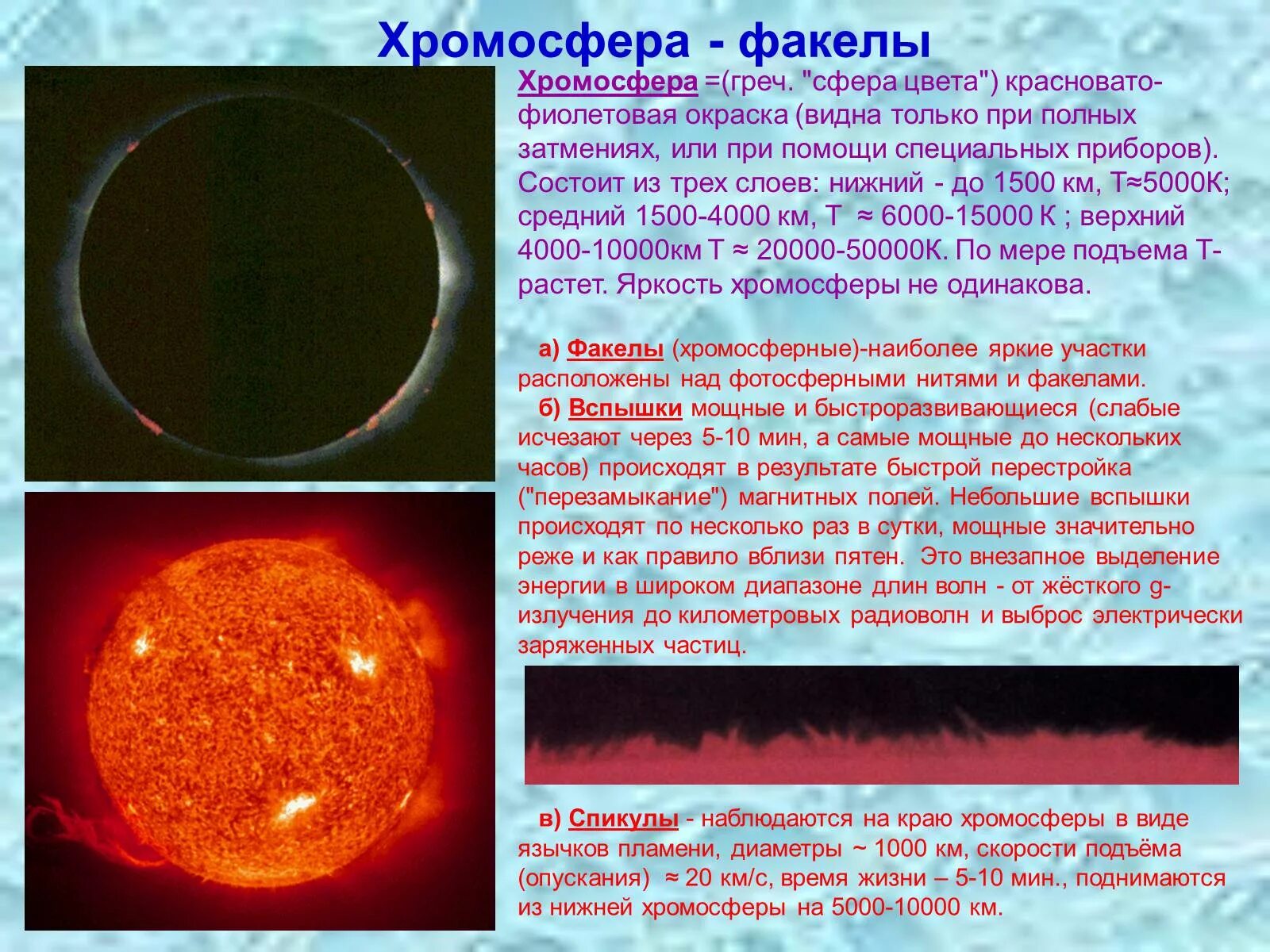 Яркие образования которые видны вблизи края солнечного