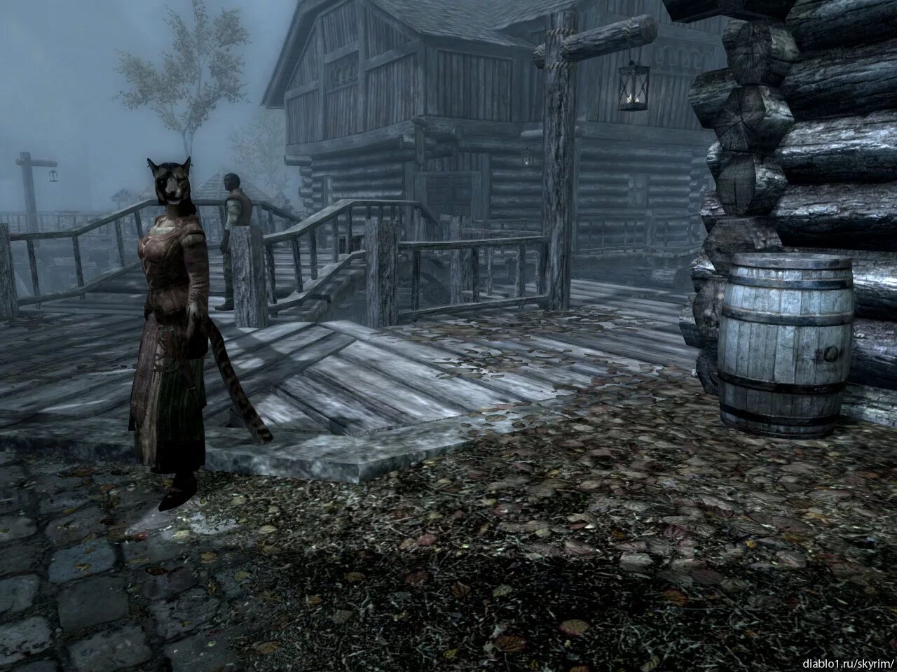 Как стать таном рифтена. Как стать таном рифтена. Как стать таном рифтена. Скайрим титул тана. Порт рифтена скайрим.