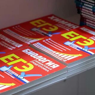 Изменения в егэ 2024 2025 русский язык
