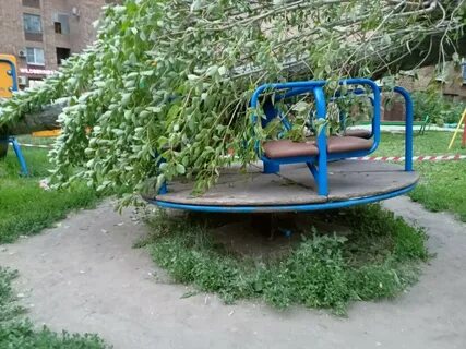 На мальчика упал дерево