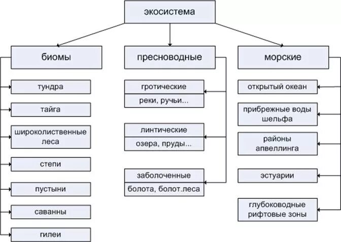 Основные типы экосистем. Классификации наземных экосистем. Биомы.. Классификация наземных экосистем схема. Основные типы природных наземных экосистем. Природные экосистемы кратко