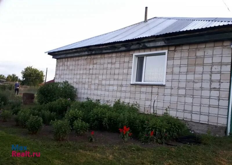 Дома в зональном алтайский край. Зональное алтайский край дом. луговское алтайский край зональный район. село плешково алтайский край зональный район. село луговское.