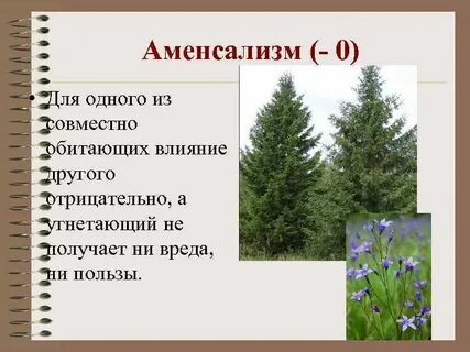 Примеры аменсализма