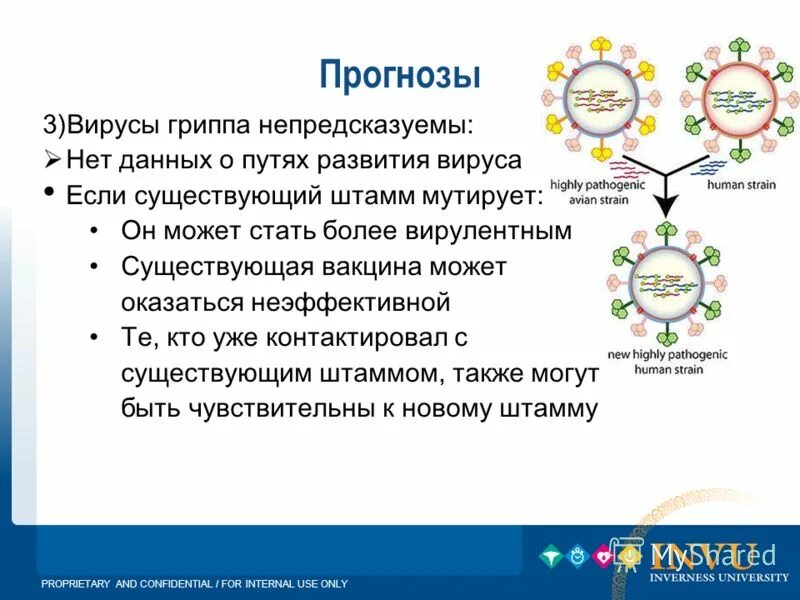 вирус гриппа презентация. очень вырос в целом мире. если хилый сразу в гроб сохранить здоровье. гриппа вирус три четыре. гриппа вирус три четыре.