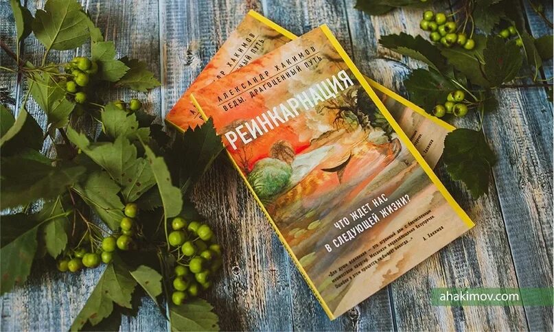 Читать книгу реинкарнация