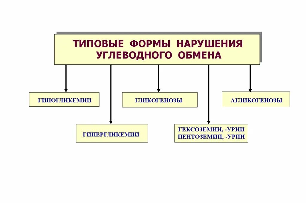 Заболевания обмена углеводов. Типовые нарушения углеводного обмена патофизиология. Нарушение обмена углеводов патофизиология. Типовые формы нарушения углеводного обмена. Формы нарушения углеводного обмена патофизиология.